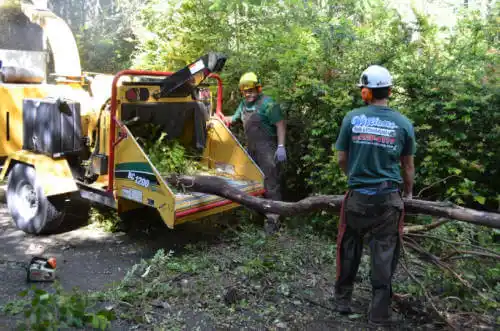 tree services West Des Moines